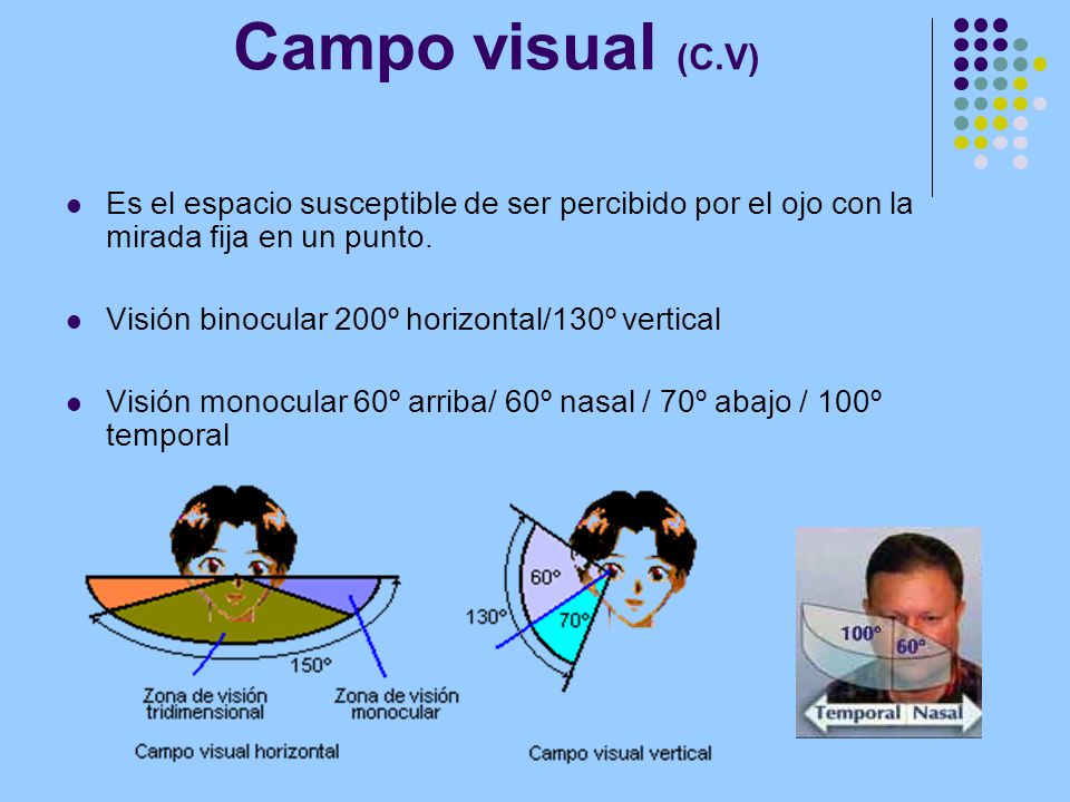 Campo visual (C.V) Es el espacio susceptible de ser percibido por el ojo con la mirada fija en un punto.