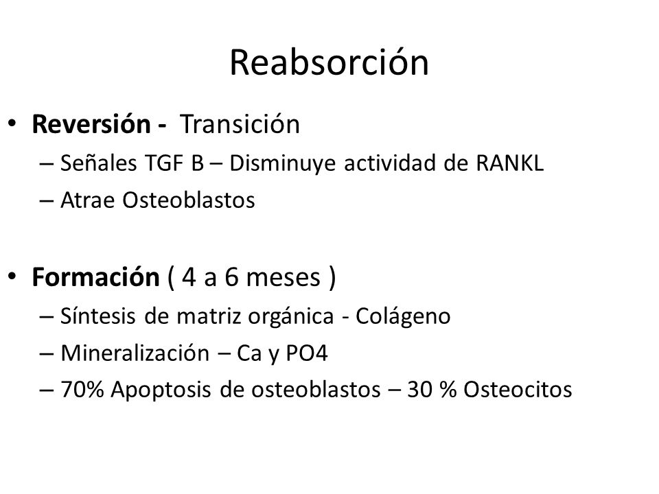 Reabsorción Reversión - Transición Formación ( 4 a 6 meses )