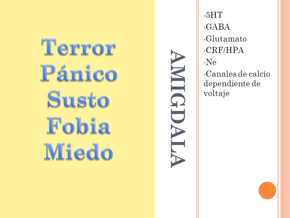 amigdala Terror Pánico Susto Fobia Miedo 5HT GABA Glutamato CRF/HPA Ne