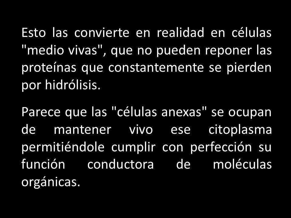 Esto las convierte en realidad en células medio vivas , que no pueden reponer las proteínas que constantemente se pierden por hidrólisis.