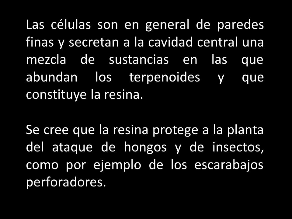 Las células son en general de paredes finas y secretan a la cavidad central una mezcla de sustancias en las que abundan los terpenoides y que constituye la resina.