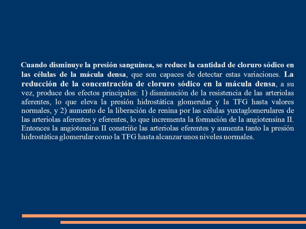 Cuando disminuye la presión sanguínea, se reduce la cantidad de cloruro sódico en las células de la mácula densa, que son capaces de detectar estas variaciones.