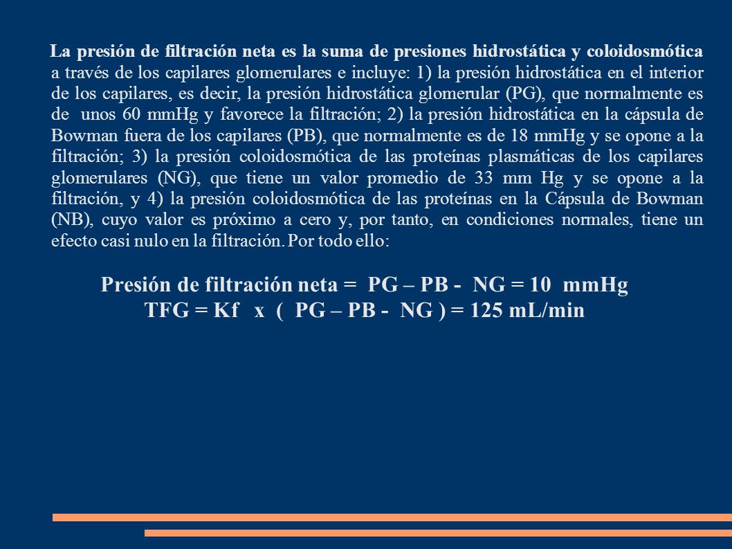Presión de filtración neta = PG – PB - NG = 10 mmHg
