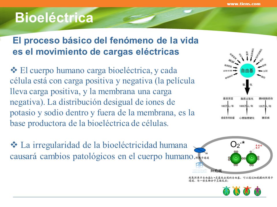 Bioeléctrica. El proceso básico del fenómeno de la vida es el movimiento de cargas eléctricas.