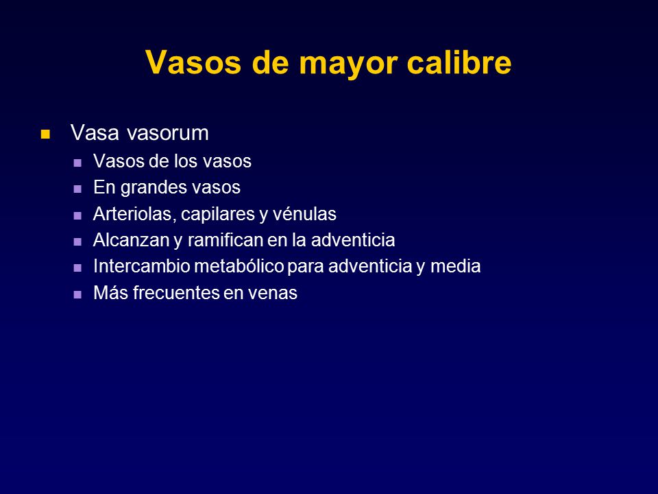 Vasos de mayor calibre Vasa vasorum Vasos de los vasos