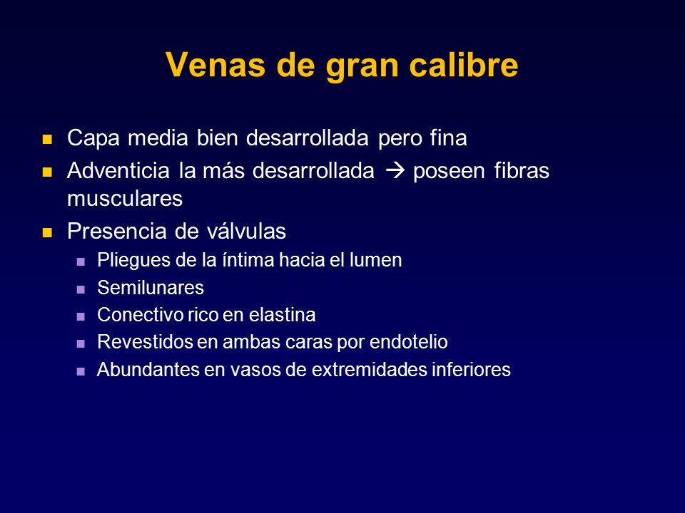 Venas de gran calibre Capa media bien desarrollada pero fina