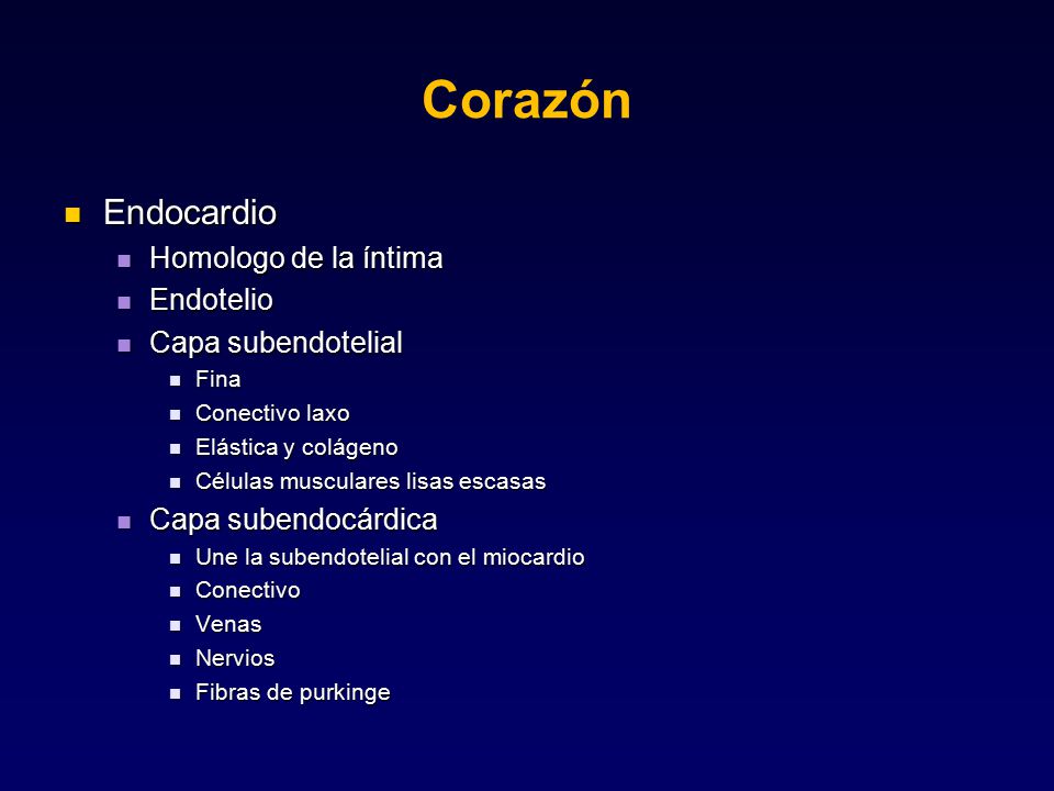 Corazón Endocardio Homologo de la íntima Endotelio Capa subendotelial