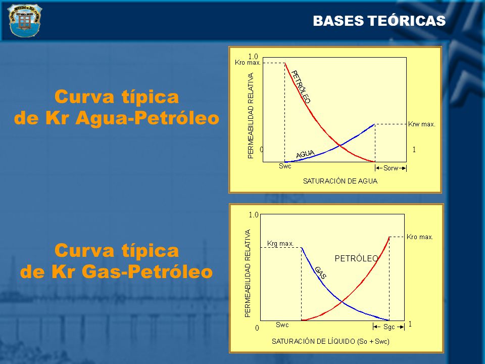 Curva típica de Kr Agua-Petróleo Curva típica de Kr Gas-Petróleo