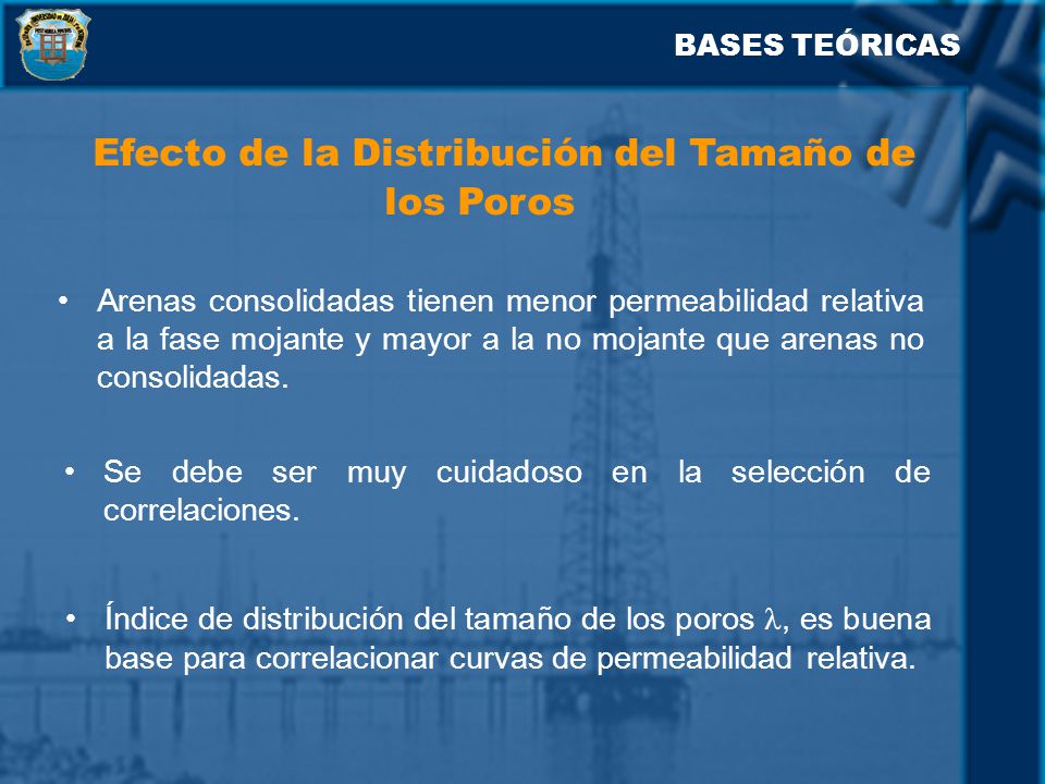 Efecto de la Distribución del Tamaño de los Poros