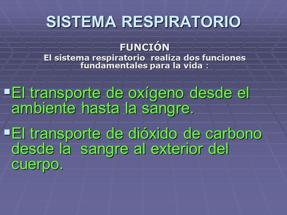 El transporte de oxígeno desde el ambiente hasta la sangre.