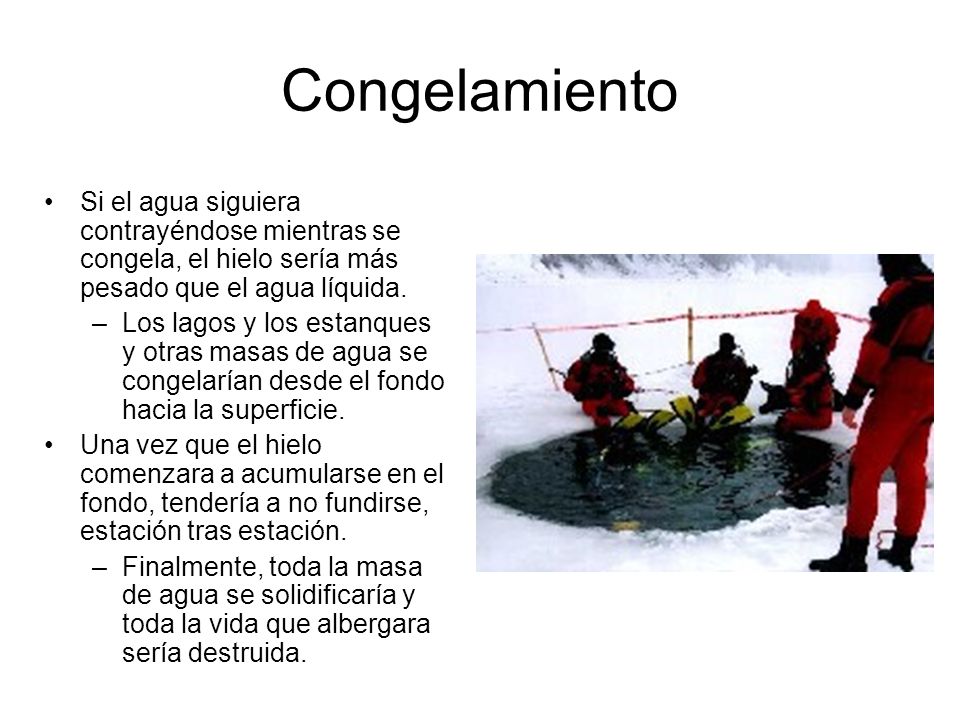 Congelamiento Si el agua siguiera contrayéndose mientras se congela, el hielo sería más pesado que el agua líquida.