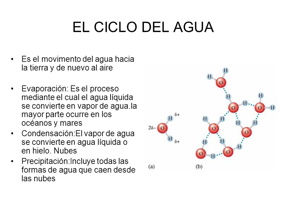 EL CICLO DEL AGUA Es el movimento del agua hacia la tierra y de nuevo al aire.