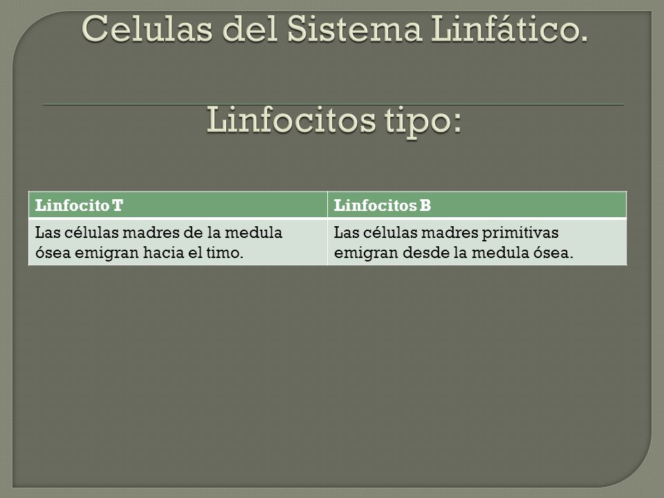 Celulas del Sistema Linfático. Linfocitos tipo: