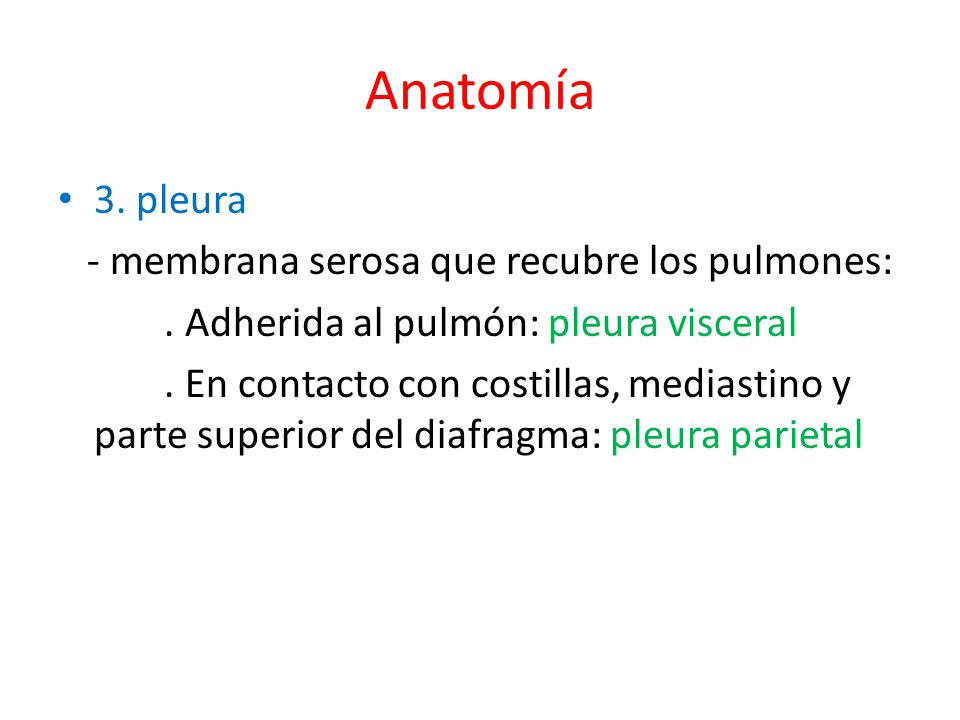 Anatomía 3. pleura - membrana serosa que recubre los pulmones: