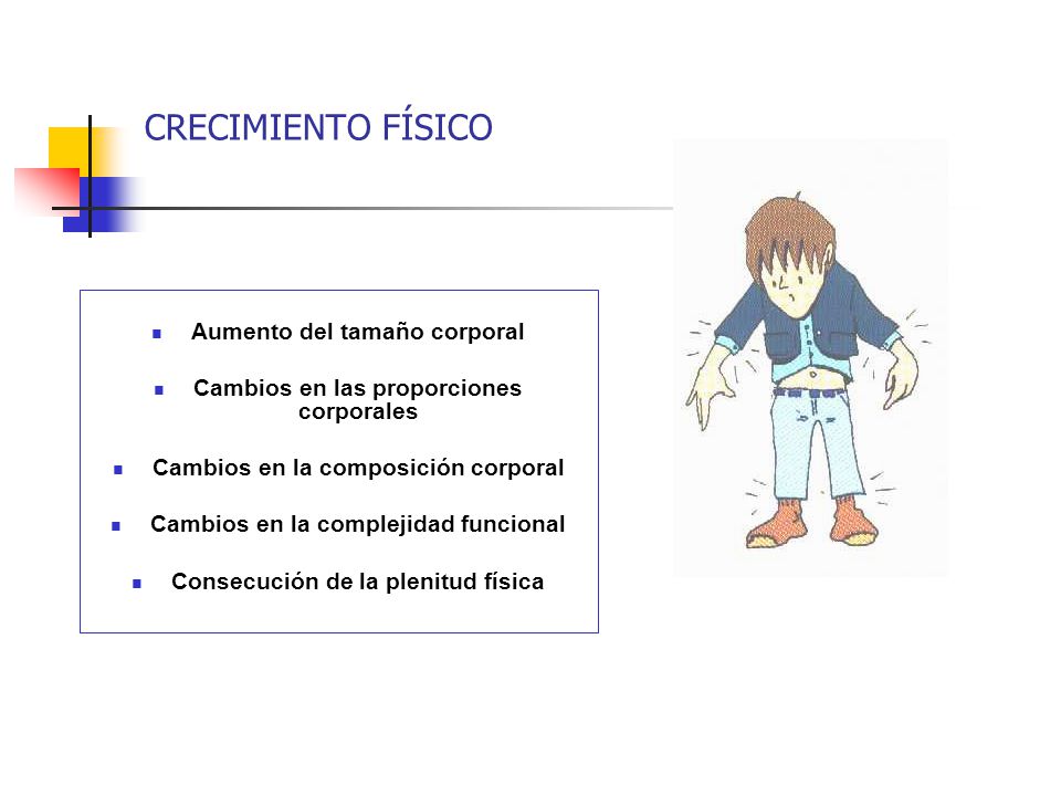 CRECIMIENTO FÍSICO Aumento del tamaño corporal