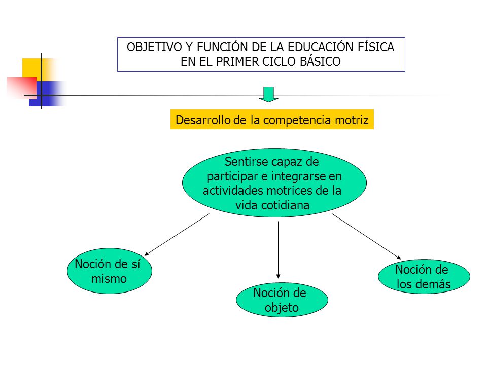 OBJETIVO Y FUNCIÓN DE LA EDUCACIÓN FÍSICA EN EL PRIMER CICLO BÁSICO