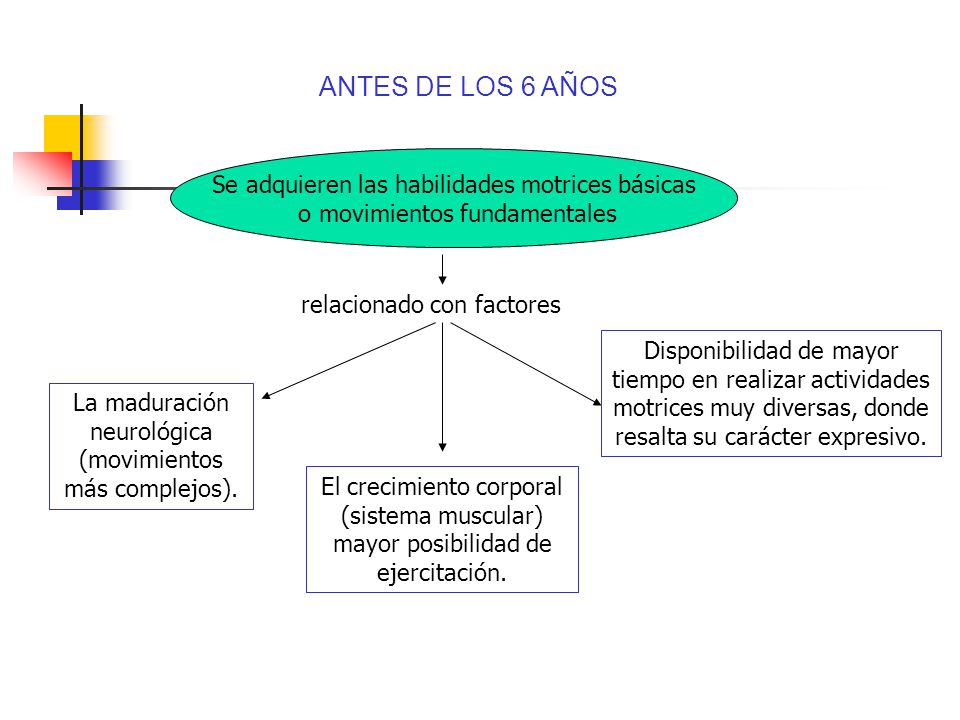 ANTES DE LOS 6 AÑOS Se adquieren las habilidades motrices básicas