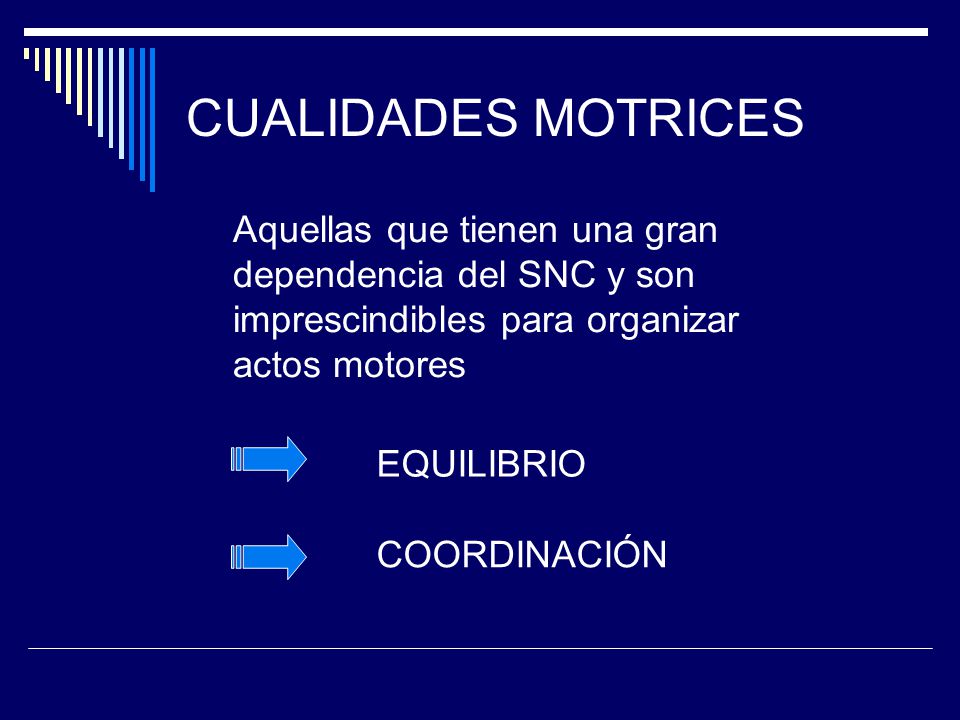 CUALIDADES MOTRICES Aquellas que tienen una gran dependencia del SNC y son imprescindibles para organizar actos motores.