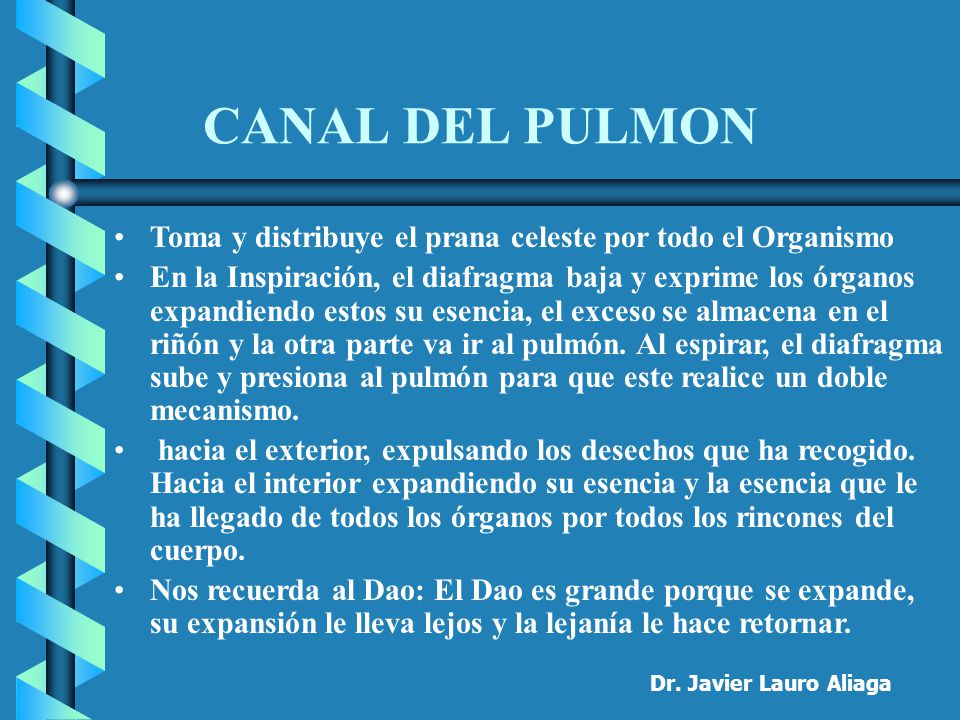 CANAL DEL PULMON Toma y distribuye el prana celeste por todo el Organismo.