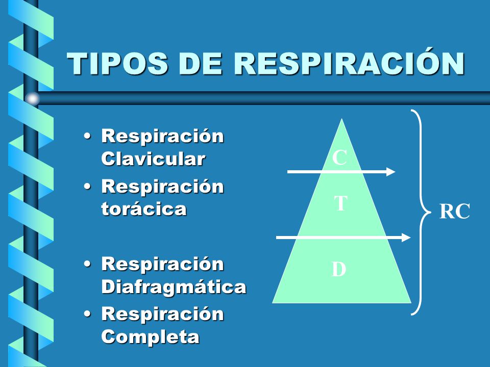 TIPOS DE RESPIRACIÓN C T RC D Respiración Clavicular