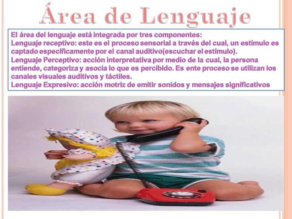 Área de Lenguaje El área del lenguaje está integrada por tres componentes: