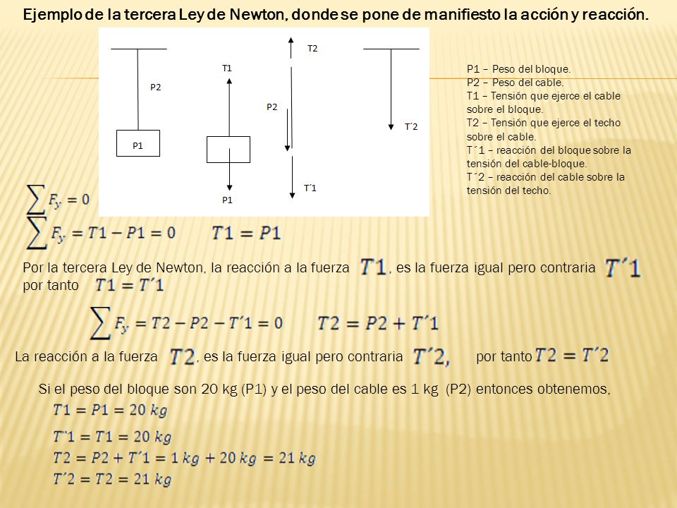 Ejemplo de la tercera Ley de Newton, donde se pone de manifiesto la acción y reacción.