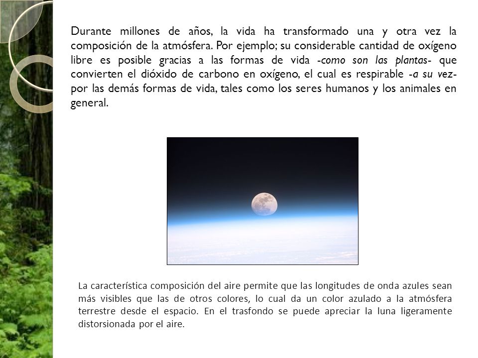 Durante millones de años, la vida ha transformado una y otra vez la composición de la atmósfera. Por ejemplo; su considerable cantidad de oxígeno libre es posible gracias a las formas de vida -como son las plantas- que convierten el dióxido de carbono en oxígeno, el cual es respirable -a su vez- por las demás formas de vida, tales como los seres humanos y los animales en general.