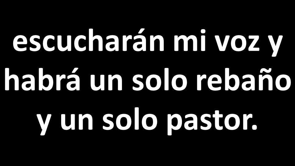 escucharán mi voz y habrá un solo rebaño y un solo pastor.