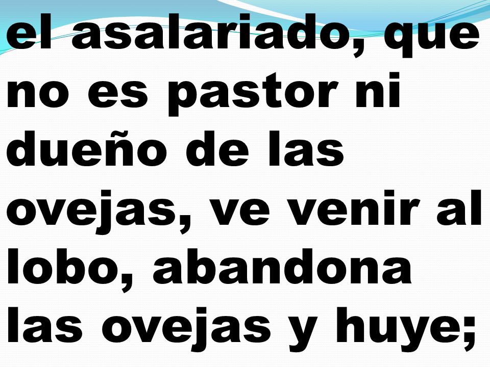 el asalariado, que no es pastor ni dueño de las ovejas, ve venir al lobo, abandona las ovejas y huye;