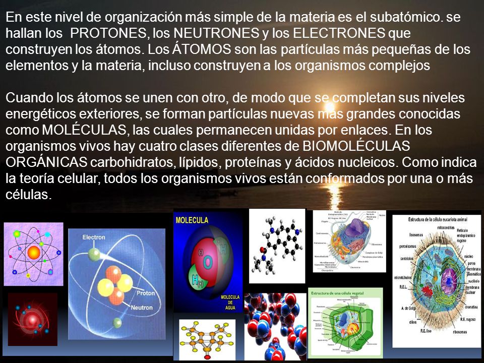 En este nivel de organización más simple de la materia es el subatómico. se hallan los PROTONES, los NEUTRONES y los ELECTRONES que construyen los átomos. Los ÁTOMOS son las partículas más pequeñas de los elementos y la materia, incluso construyen a los organismos complejos