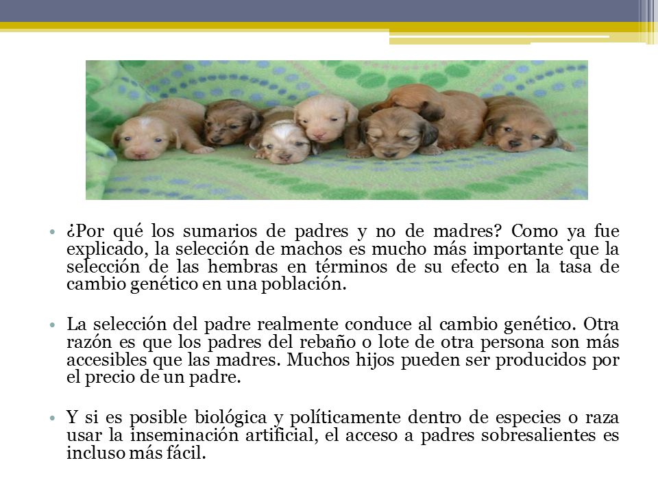 ¿Por qué los sumarios de padres y no de madres