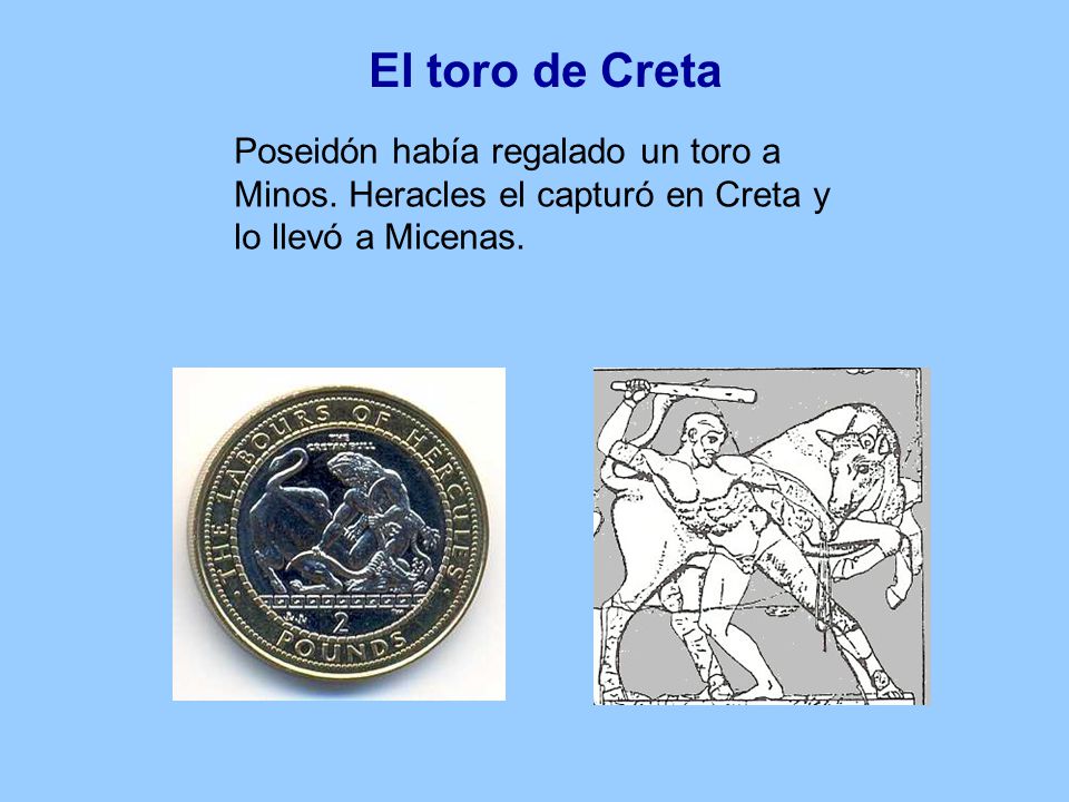 El toro de Creta Poseidón había regalado un toro a Minos.