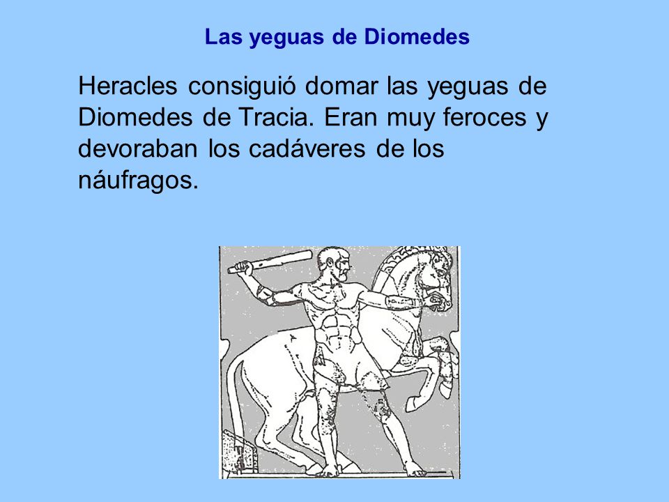 Las yeguas de Diomedes Heracles consiguió domar las yeguas de Diomedes de Tracia.