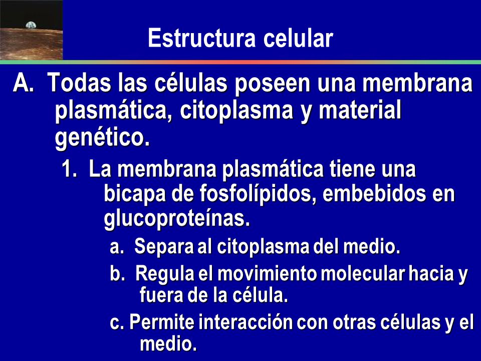 Estructura celular A. Todas las células poseen una membrana plasmática, citoplasma y material genético.
