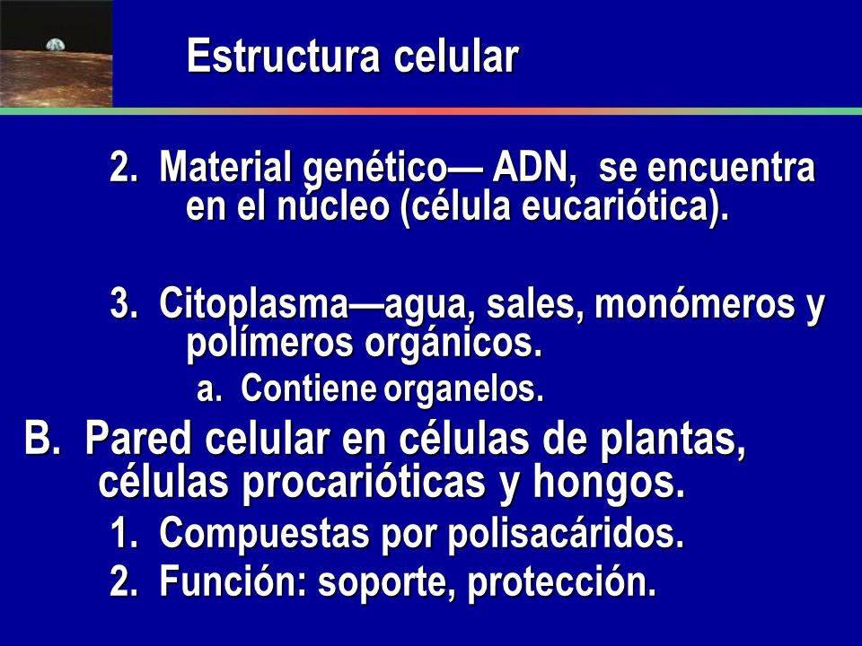 Estructura celular 2. Material genético— ADN, se encuentra en el núcleo (célula eucariótica).