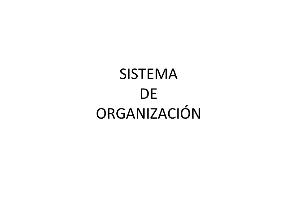 SISTEMA DE ORGANIZACIÓN