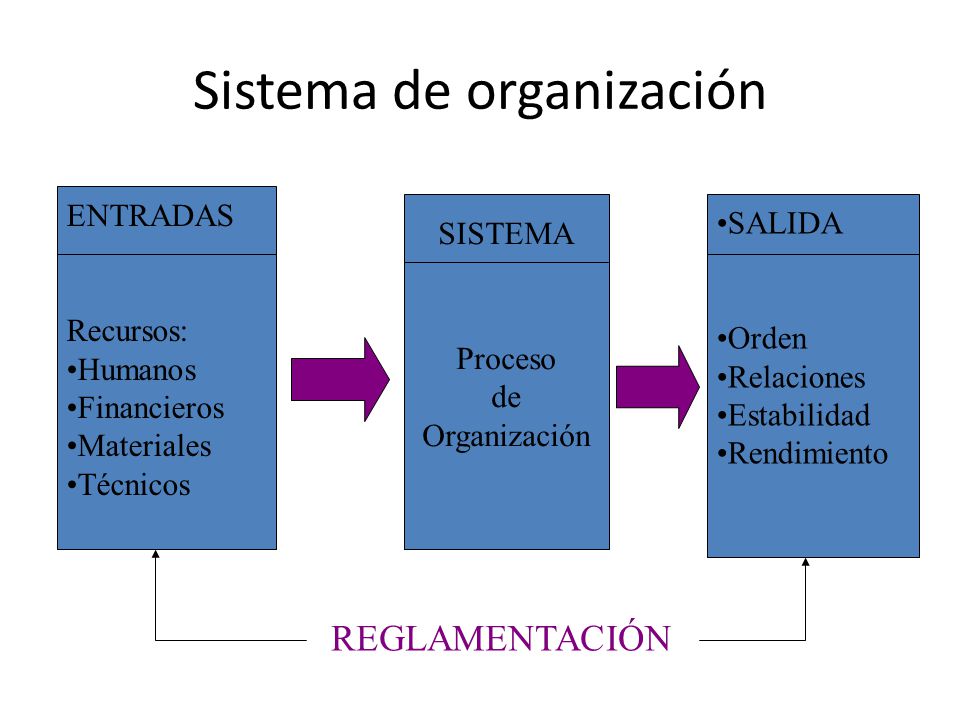 Sistema de organización