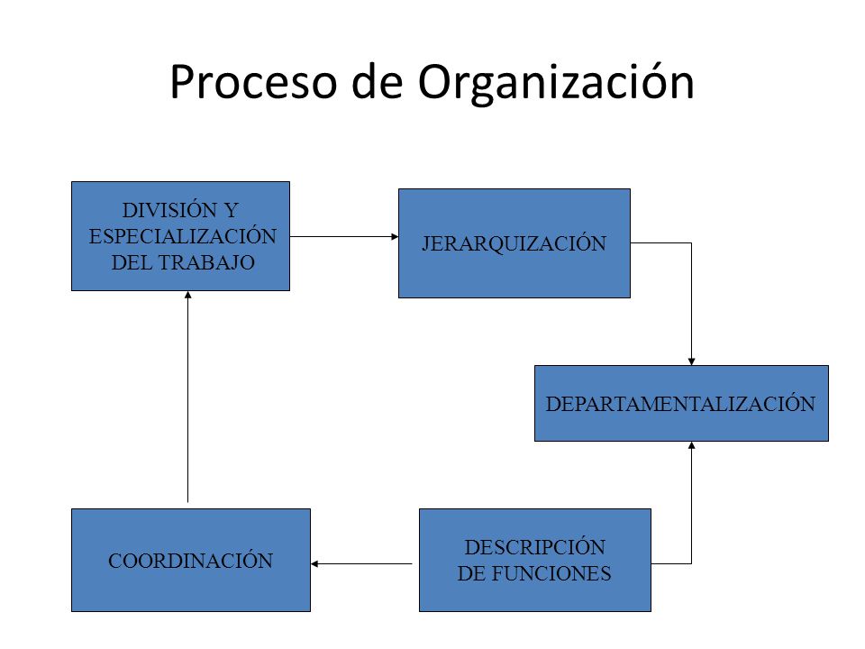Proceso de Organización