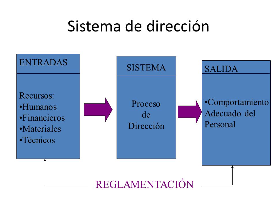 Sistema de dirección REGLAMENTACIÓN ENTRADAS SISTEMA SALIDA Recursos: