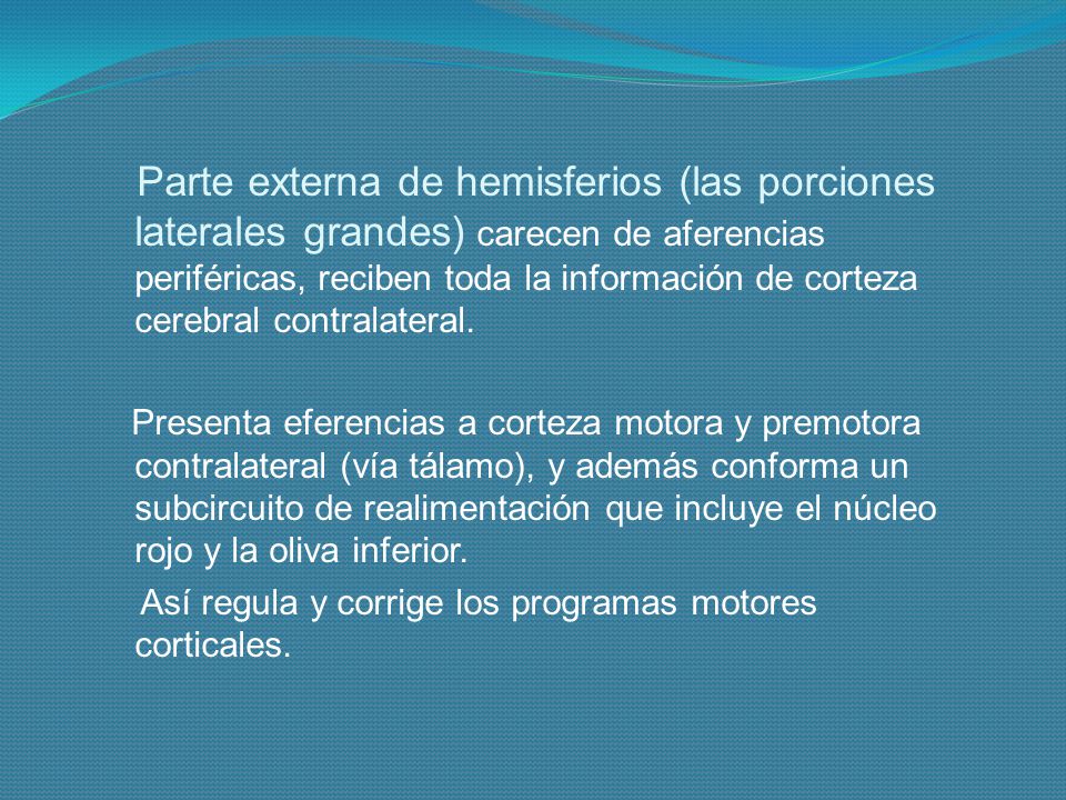 Parte externa de hemisferios (las porciones laterales grandes) carecen de aferencias periféricas, reciben toda la información de corteza cerebral contralateral.