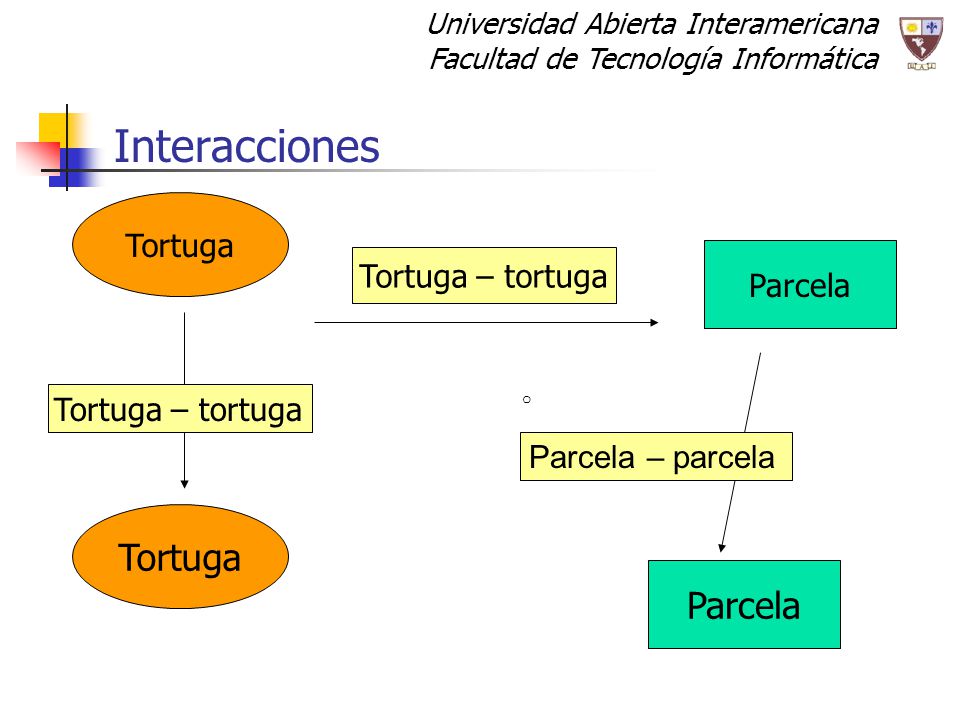 Interacciones Tortuga Parcela Tortuga Tortuga – tortuga Parcela
