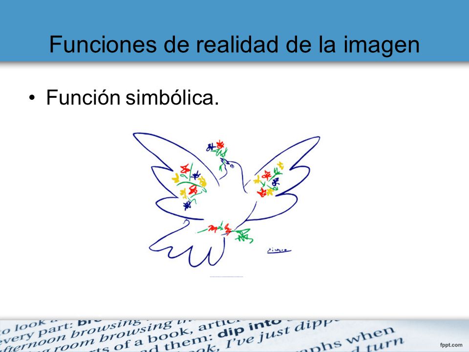 Funciones de realidad de la imagen