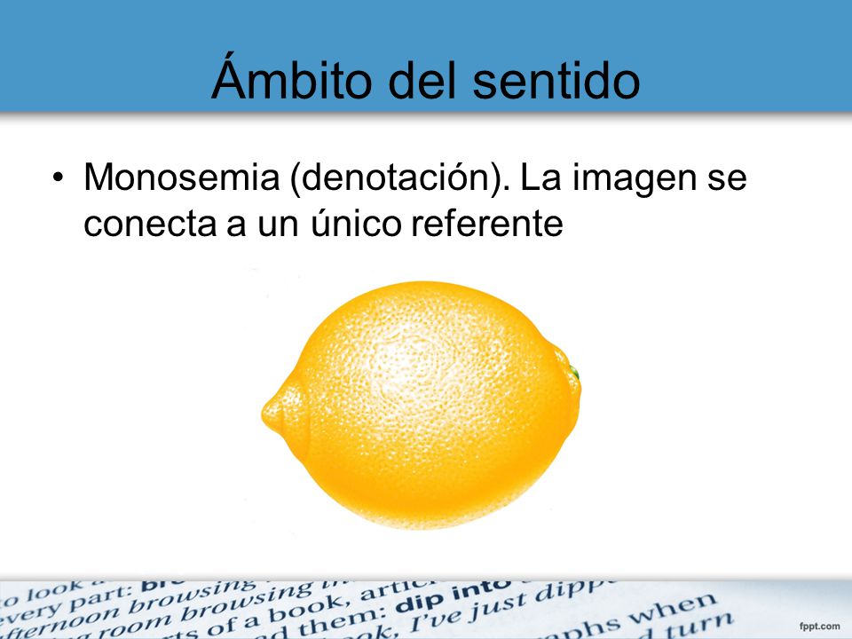Ámbito del sentido Monosemia (denotación). La imagen se conecta a un único referente