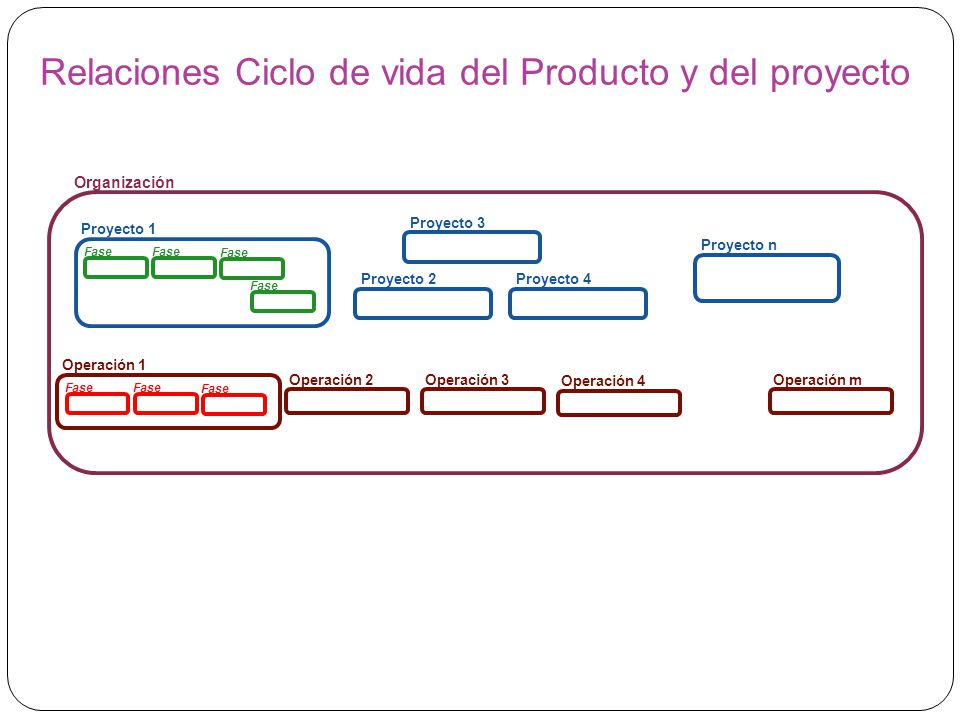 Relaciones Ciclo de vida del Producto y del proyecto