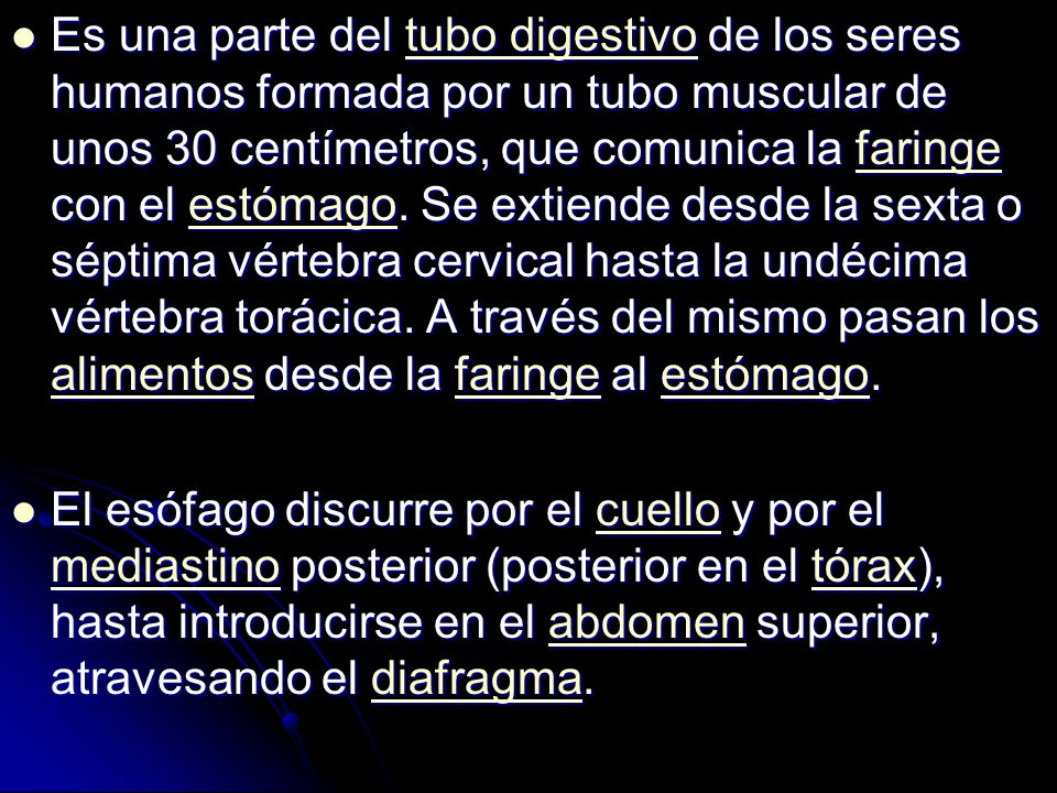 Es una parte del tubo digestivo de los seres humanos formada por un tubo muscular de unos 30 centímetros, que comunica la faringe con el estómago. Se extiende desde la sexta o séptima vértebra cervical hasta la undécima vértebra torácica. A través del mismo pasan los alimentos desde la faringe al estómago.