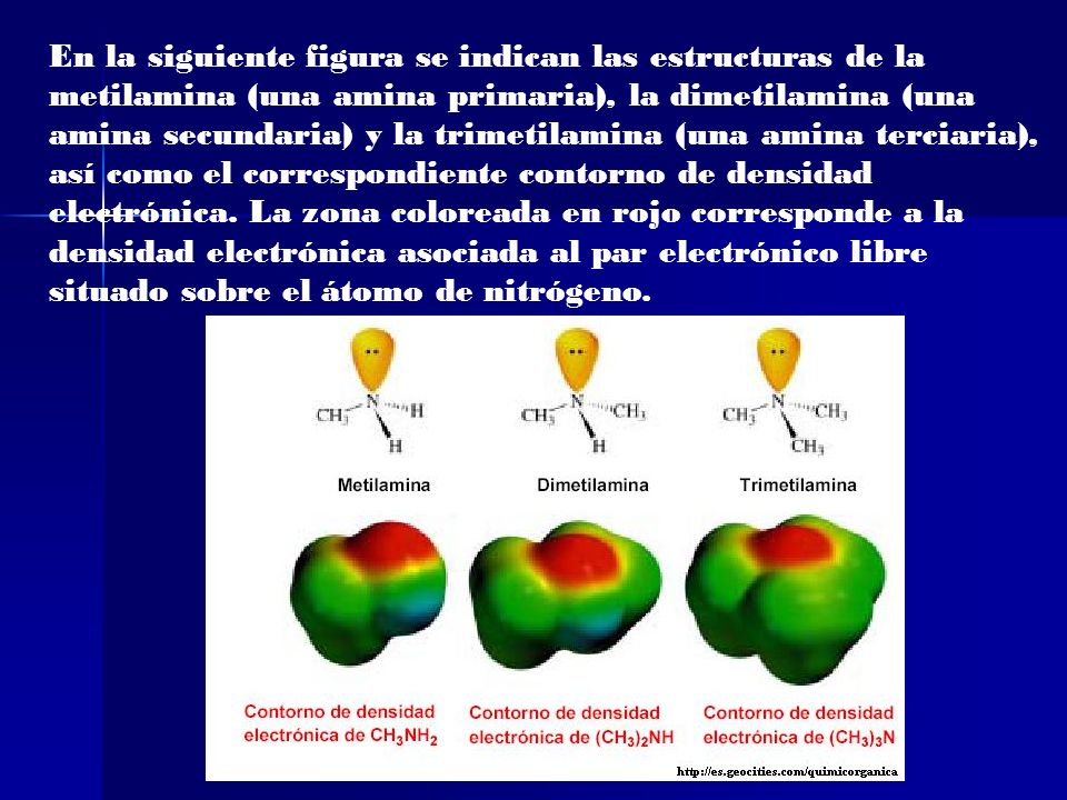 En la siguiente figura se indican las estructuras de la metilamina (una amina primaria), la dimetilamina (una amina secundaria) y la trimetilamina (una amina terciaria), así como el correspondiente contorno de densidad electrónica.