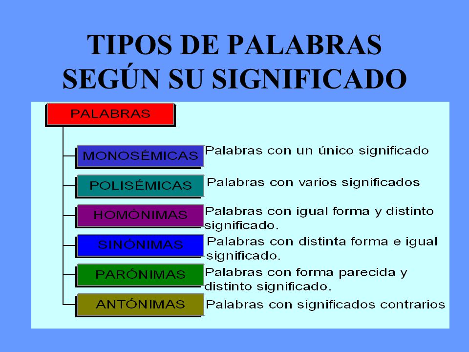 TIPOS DE PALABRAS SEGÚN SU SIGNIFICADO
