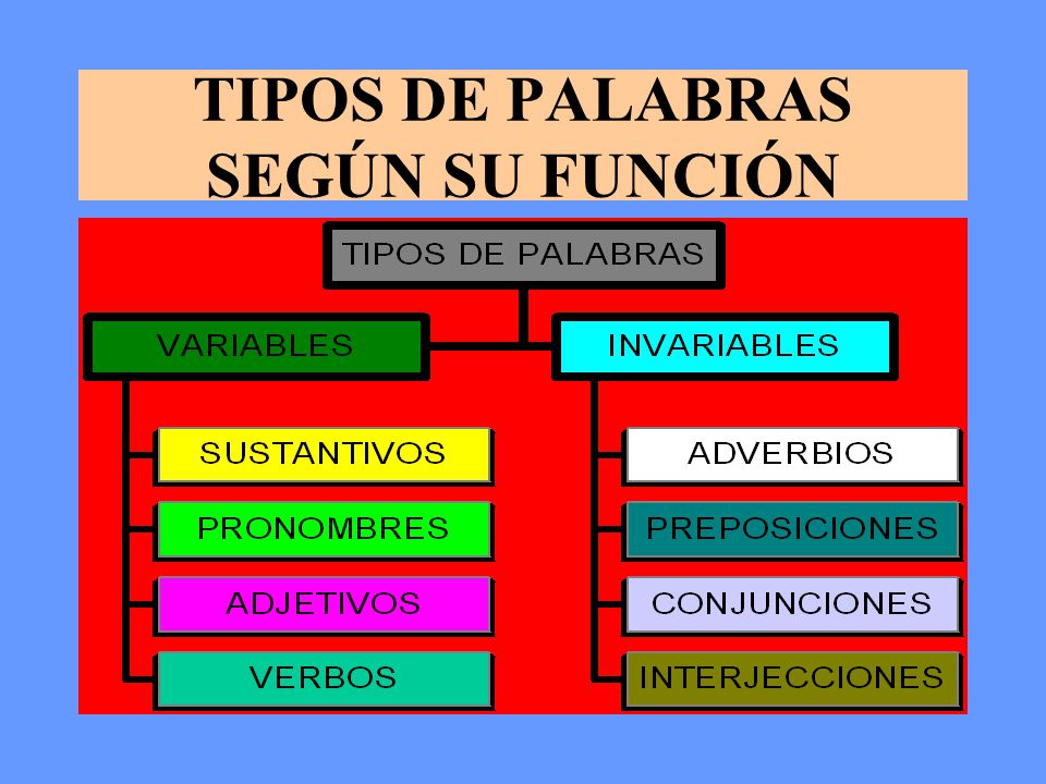 TIPOS DE PALABRAS SEGÚN SU FUNCIÓN