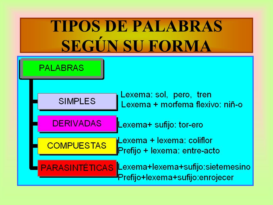 TIPOS DE PALABRAS SEGÚN SU FORMA