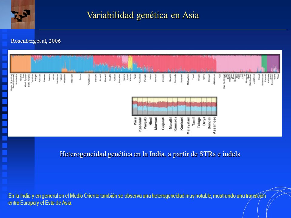 Heterogeneidad genética en la India, a partir de STRs e indels